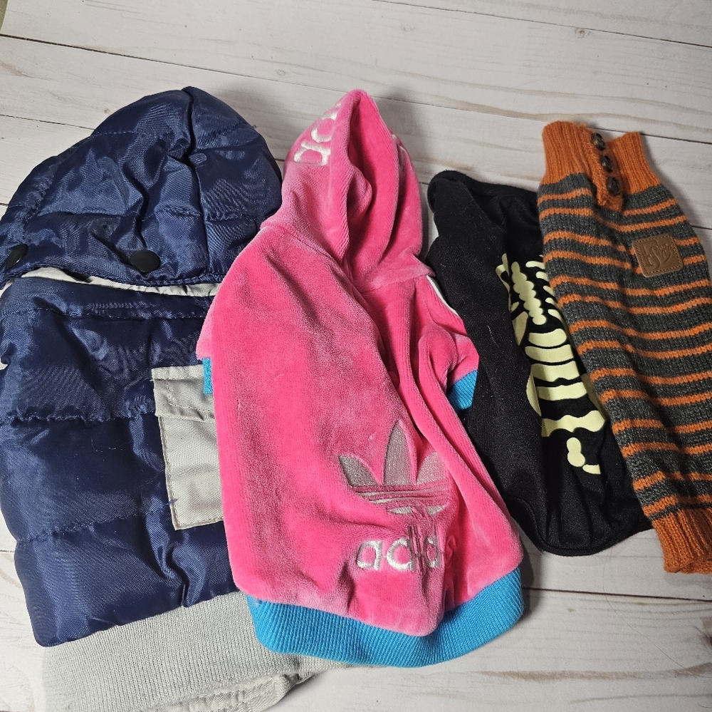 Lot x4 small dog 🐕 outfits